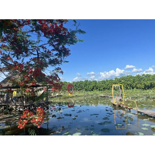 Khám Phá Khu Du Lịch Văn Hoá Phương Nam – Nét Đẹp Miền Tây Trong Tháng 5